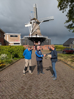Teije molenaar